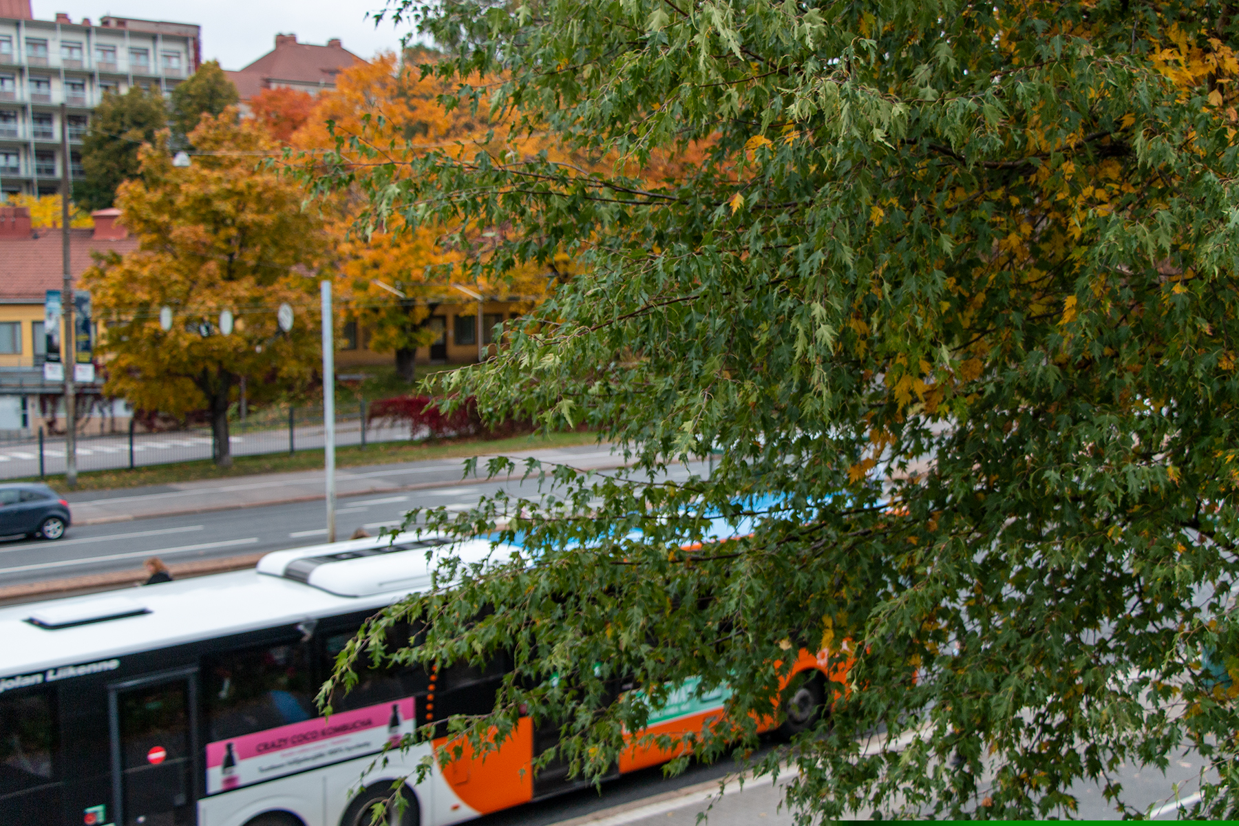 Illustration a bus and Autumn trees.