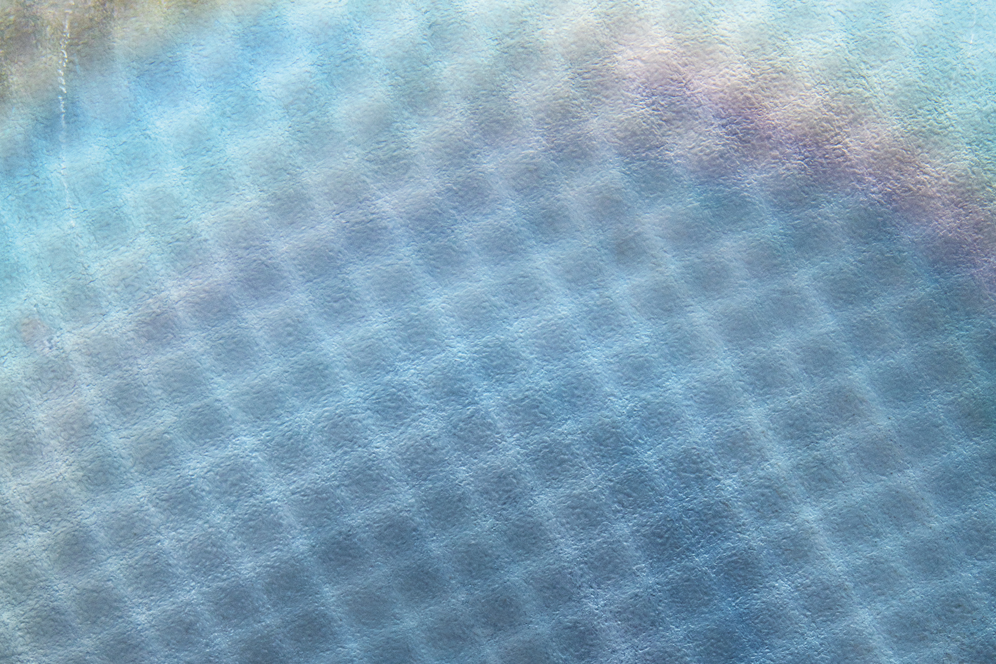 A light blue net pattern.