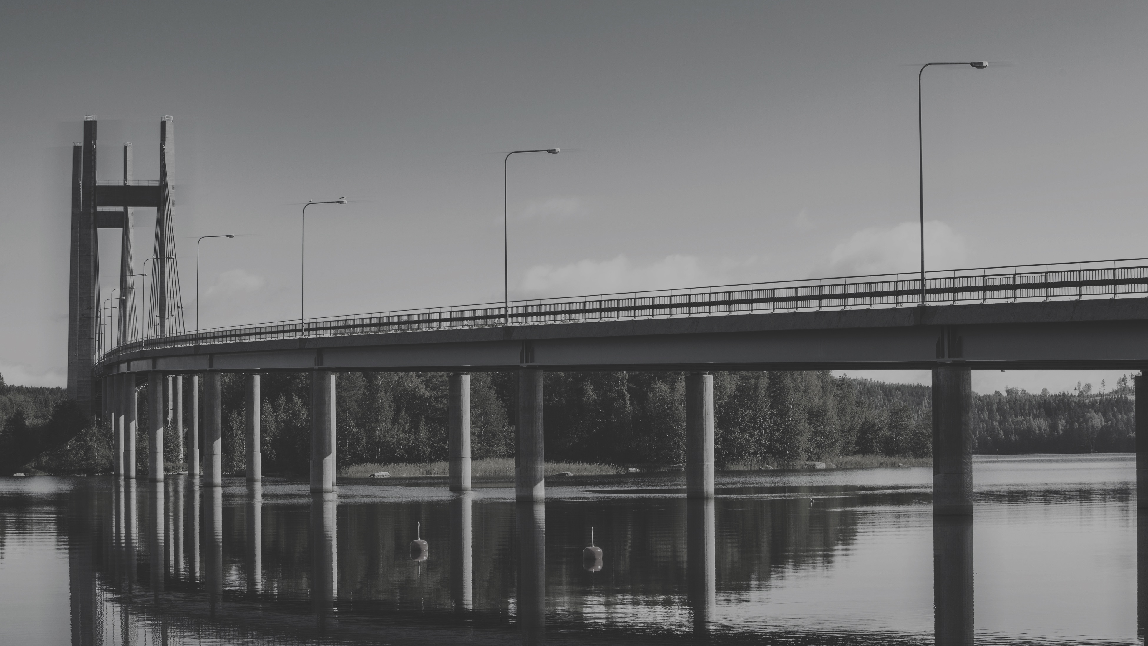 Bridge going over a lake.