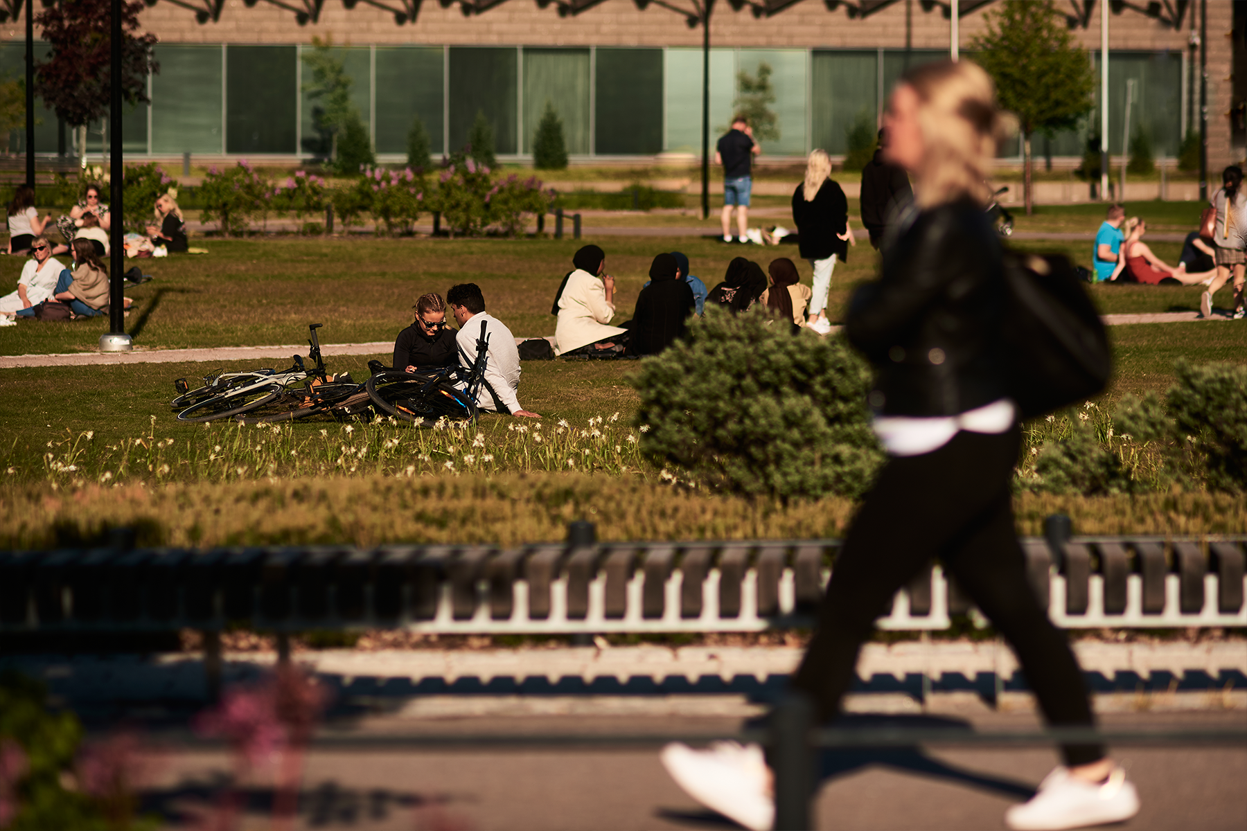 Illustration - a group of people sitting on a lawn.